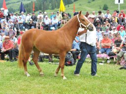 Schwarzsee 75 Jahre 2012- (26)